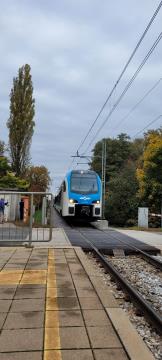 Spominska vožnja z vlakom 3